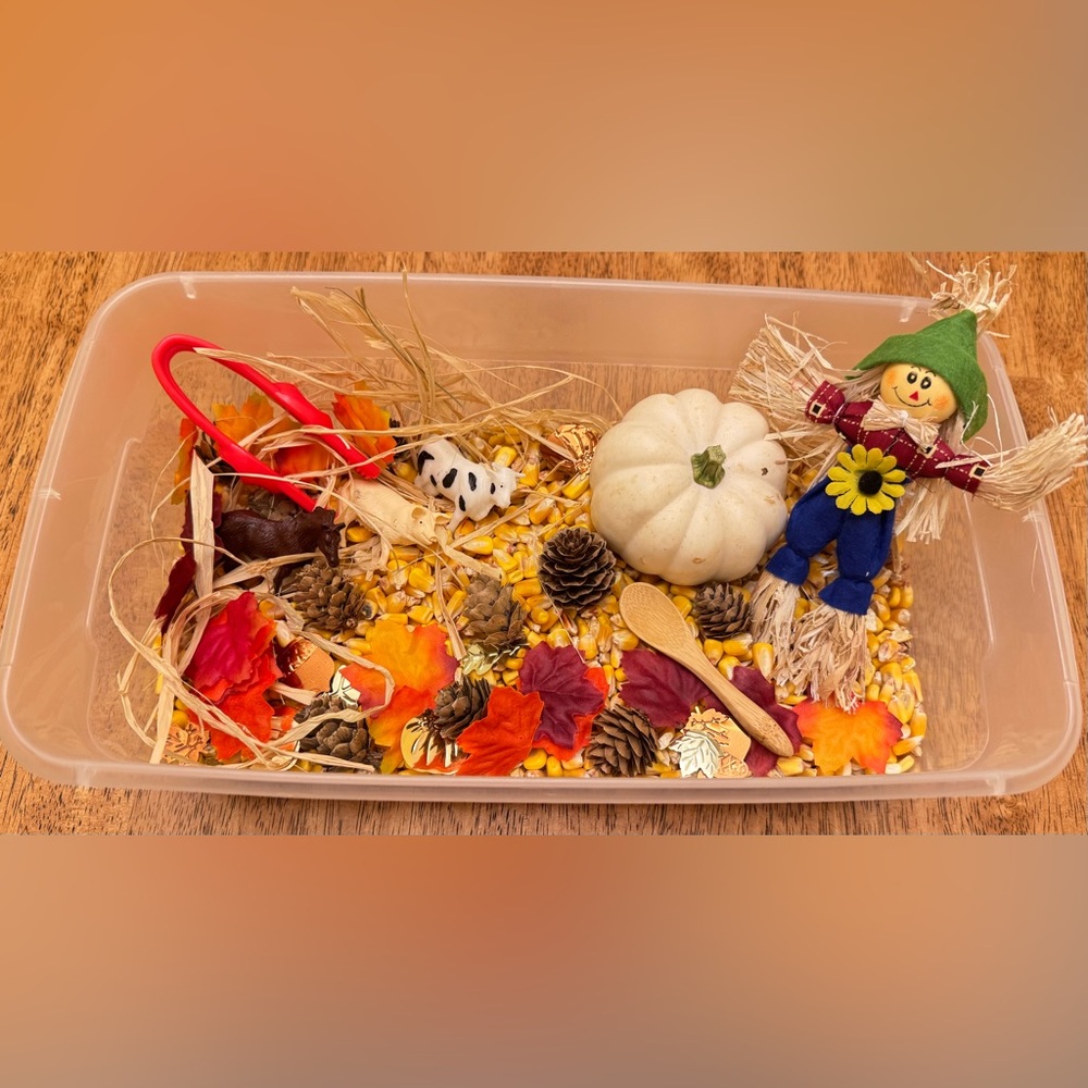 Autumn/Fall Sensory Bins
